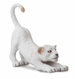 CollectA-White Lion Cub - Stretching